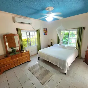 Green's Palace Jamaica *** Oracabessa